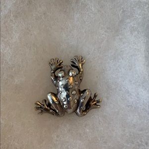 Silver Frog Pin